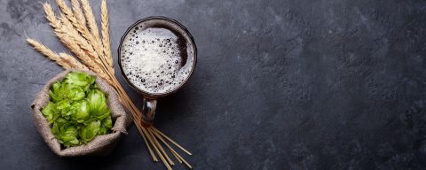 Un almanach dédié à la bière